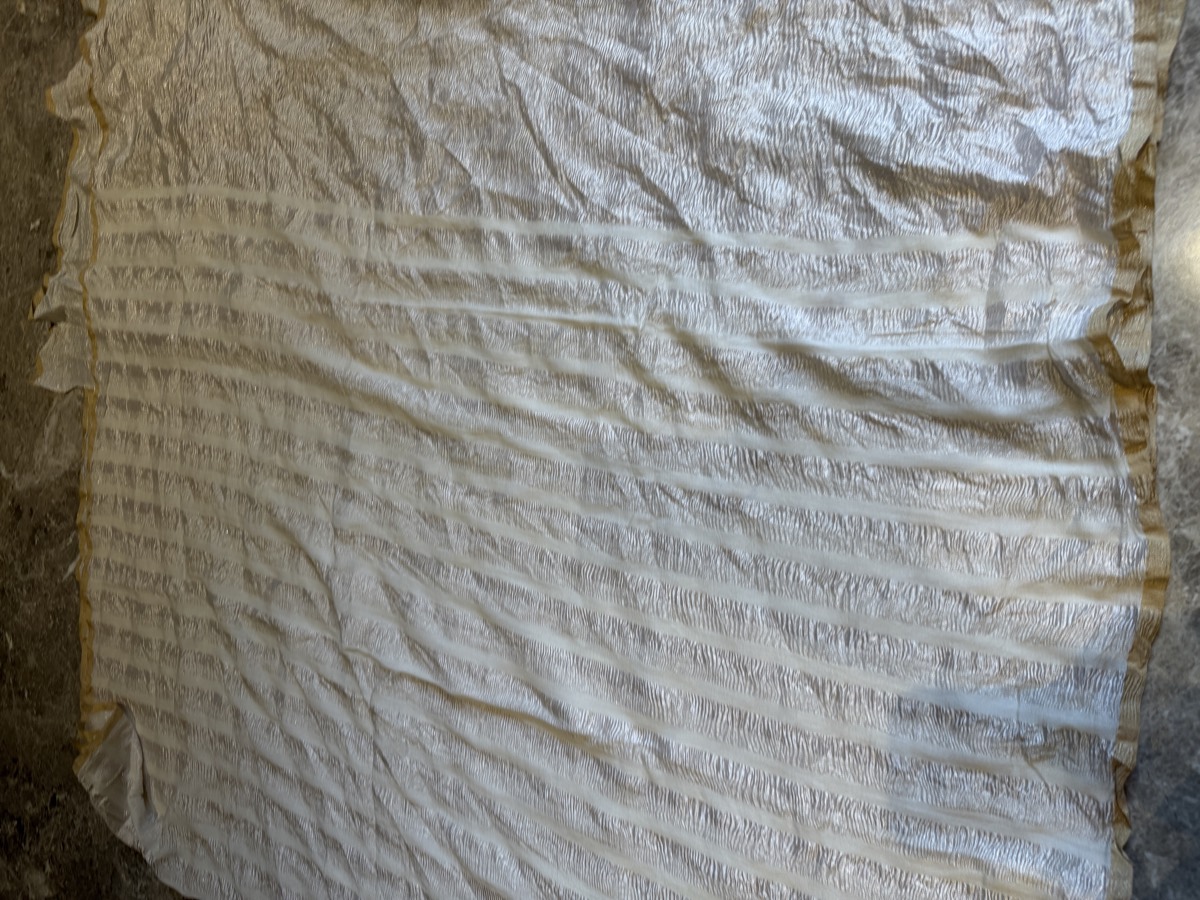 Ivory Crushed Tissue Silver Zari Banarasi Saree — Banarasi, Tissue Silk, Varanasi, Uttar Pradesh, view 6