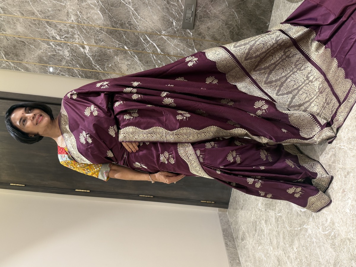 Wine Mushroo Silk Checkered Banarasi Saree — Kanjeewaram-Inspired Border — Banarasi, Mushroo Silk, Varanasi, Uttar Pradesh, view 2