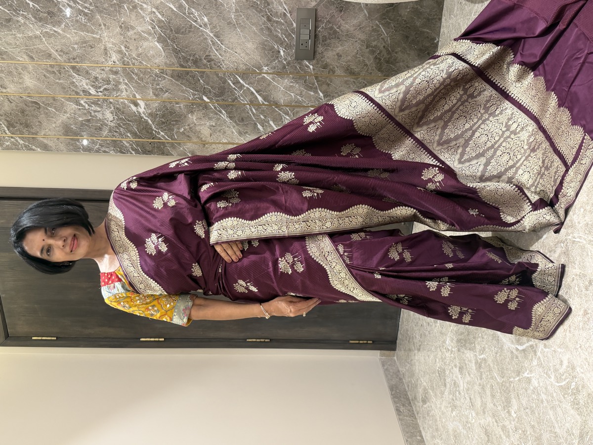 Wine Mushroo Silk Checkered Banarasi Saree — Kanjeewaram-Inspired Border — Banarasi, Mushroo Silk, Varanasi, Uttar Pradesh, view 3