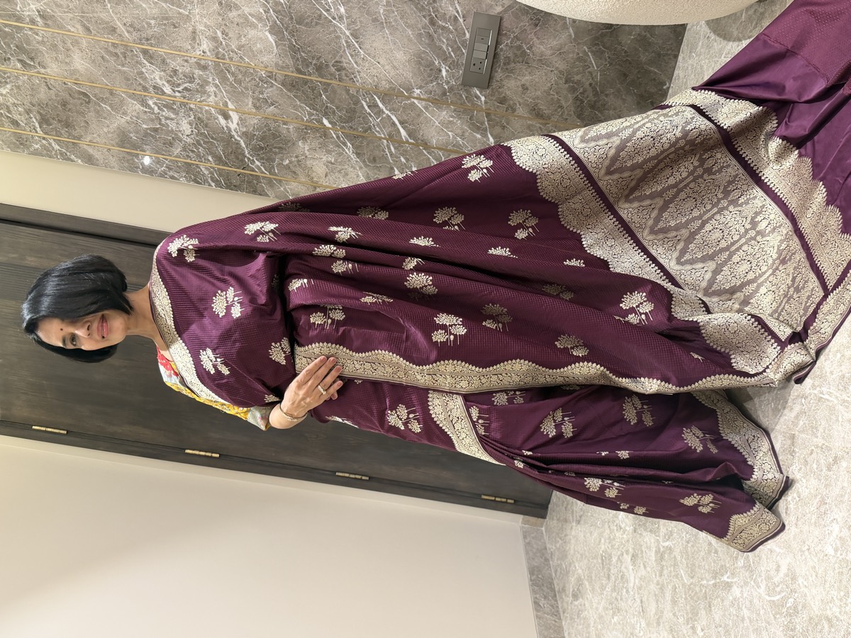 Wine Mushroo Silk Checkered Banarasi Saree — Kanjeewaram-Inspired Border — Banarasi, Mushroo Silk, Varanasi, Uttar Pradesh, view 5