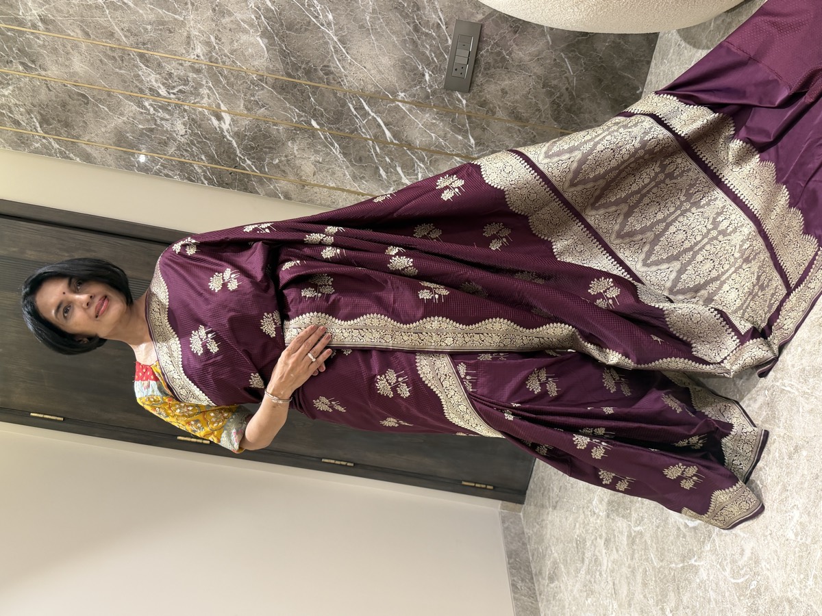 Wine Mushroo Silk Checkered Banarasi Saree — Kanjeewaram-Inspired Border — Banarasi, Mushroo Silk, Varanasi, Uttar Pradesh, view 6